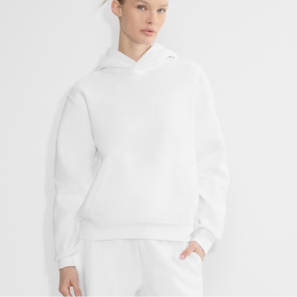 Aritzia cozy fleece perfect fit hoodie